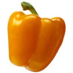 Yellow Bell Pepper